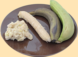 Green Bananas in various stages of preparation. Fresh, Boiled, Peeled and Mashed